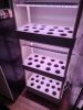 Hydroponics Growing System,3 Tiers 42 Pods Indoor Garden Kit with 6 PCS of Grow Lights for Vegetables,Herb,Fruit